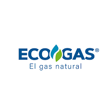 Cómo Consultar tu Factura Ecogás